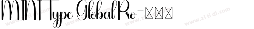 MINI Type Global Pro字体转换